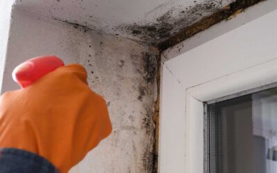 Mould in Winter: What Every Property Owner Needs to Know